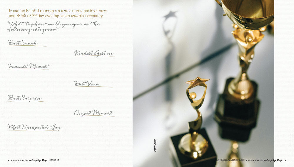 Field Guide to Everyday Magic Issue 17 – Coming April 1st