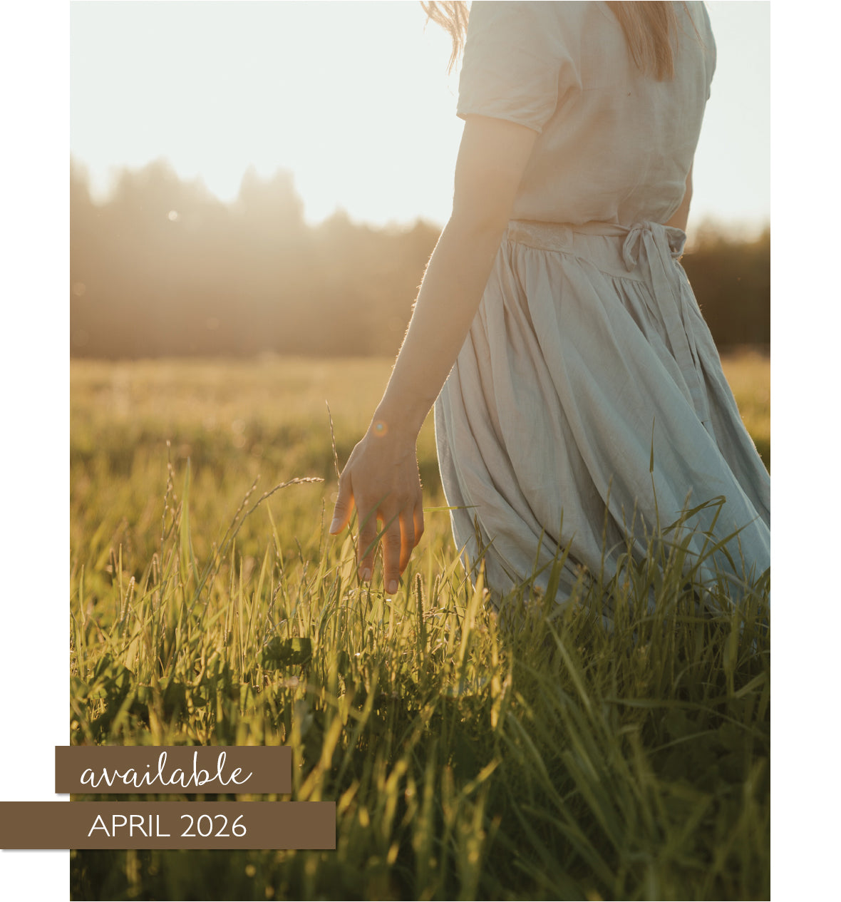 Field Guide to Everyday Magic Issue 17 Pre-Order