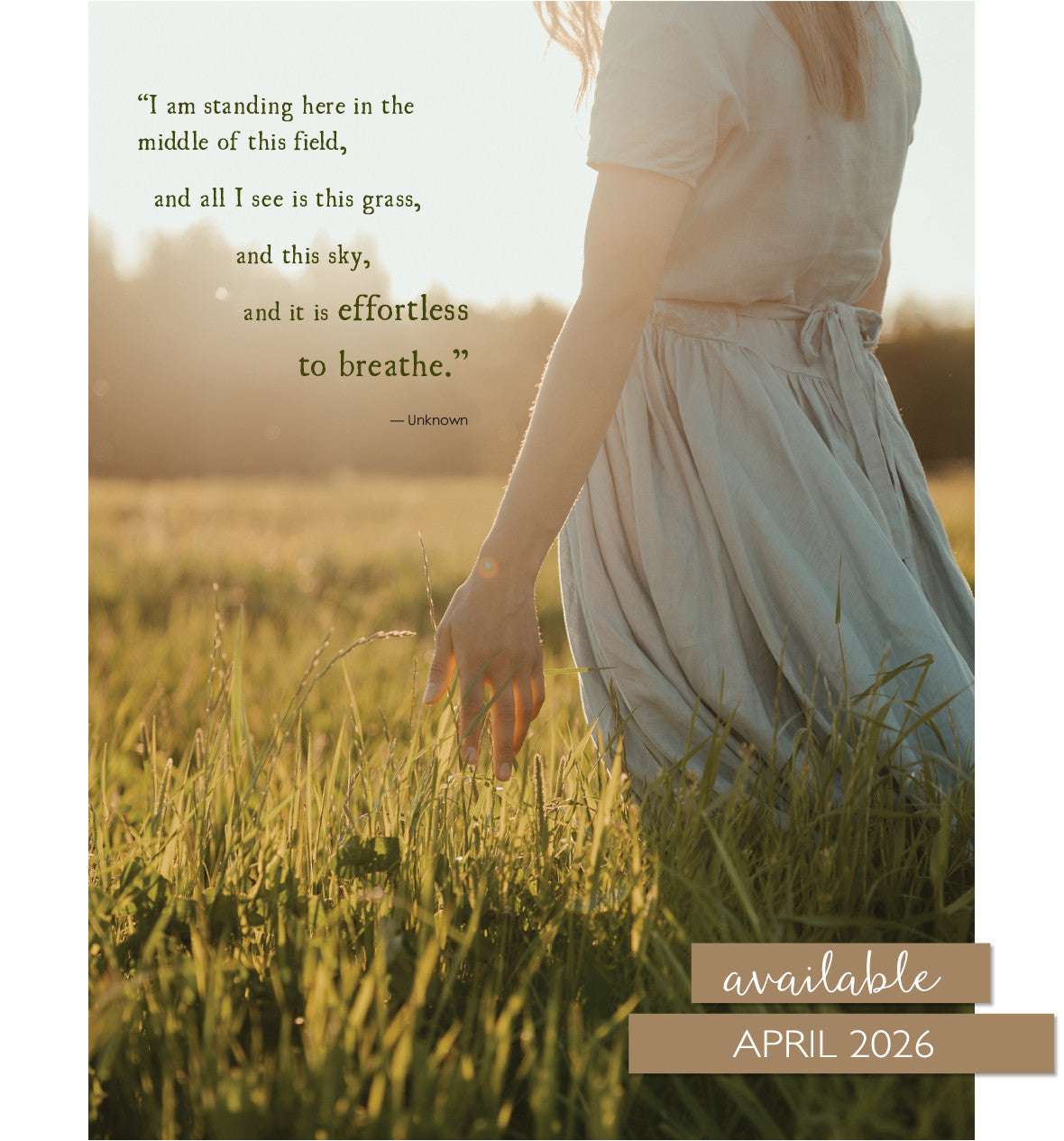 Field Guide to Everyday Magic Issue 17 Pre-Order