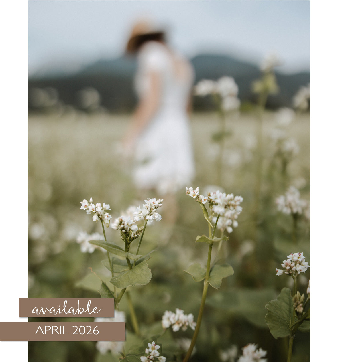 Field Guide to Everyday Magic Issue 17 Pre-Order