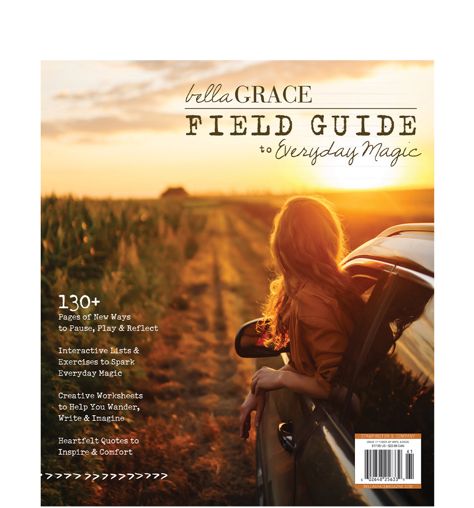 Field Guide to Everyday Magic Issue 17 – New