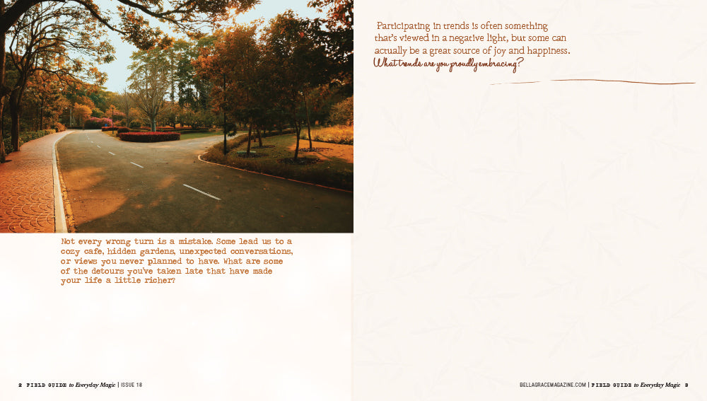 Field Guide to Everyday Magic Issue 18 – Coming October 1st
