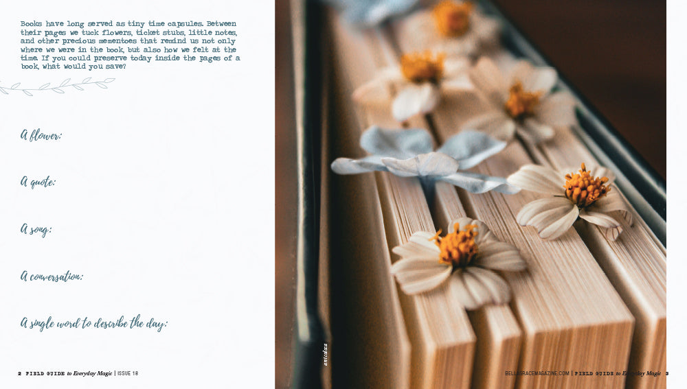 Field Guide to Everyday Magic Issue 18 – Coming October 1st