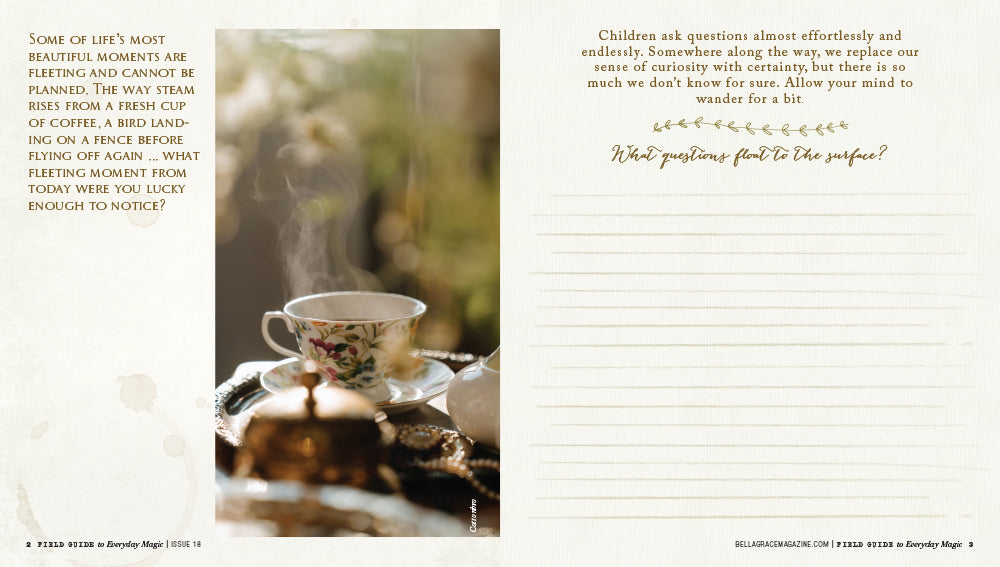 Field Guide to Everyday Magic Issue 18 – Coming October 1st
