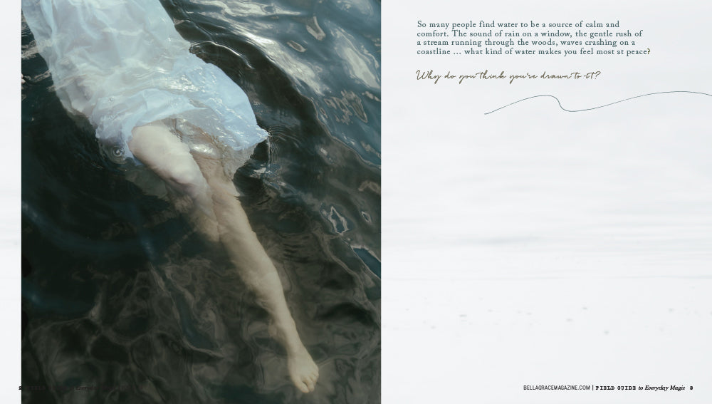 Field Guide to Everyday Magic Issue 18 – Coming October 1st