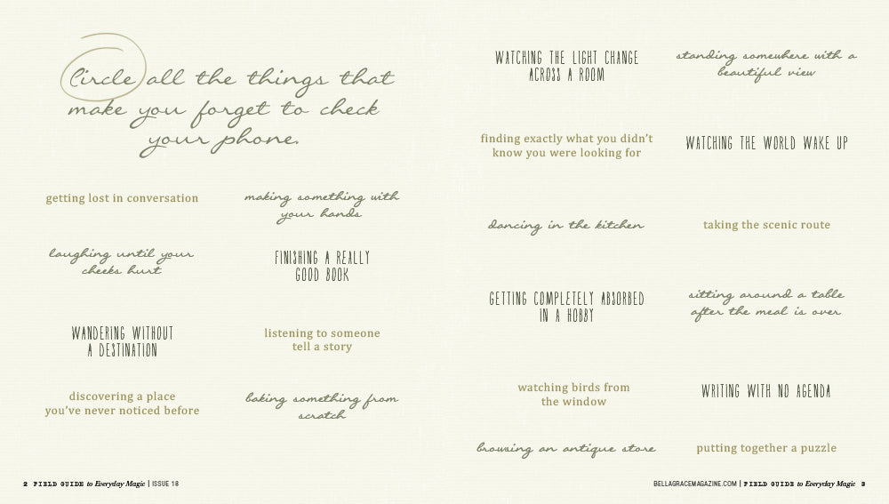 Field Guide to Everyday Magic Issue 18 – Coming October 1st