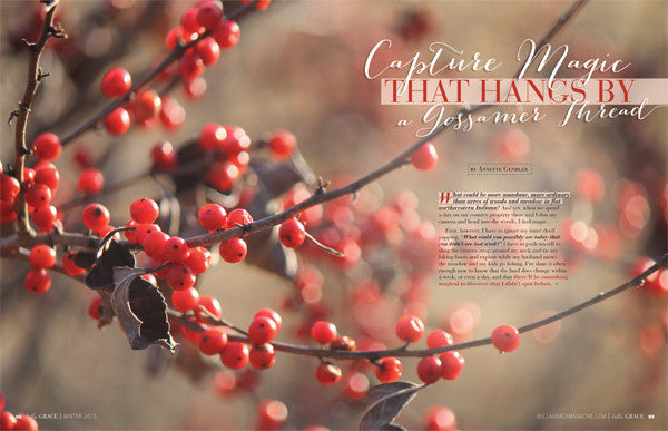 Bella Grace Issue 2 — Digital Only