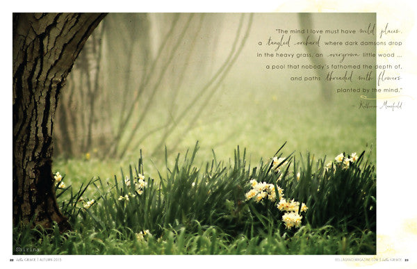 Bella Grace Issue 5 Instant Download