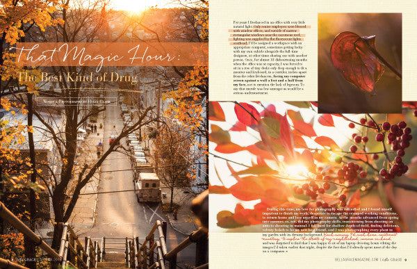 Bella Grace Issue 9 Instant Download
