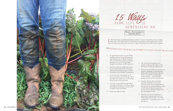 Bella Grace Issue 16 Instant Download