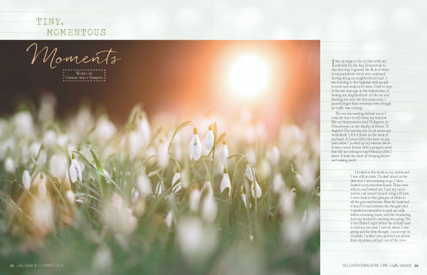 Bella Grace Issue 16 Instant Download