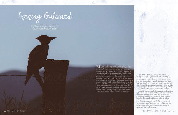 Bella Grace Issue 20