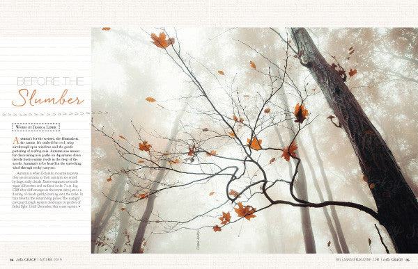 Bella Grace Issue 21 Instant Download