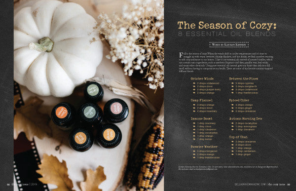 The Cozy Issue Volume 2 — Digital Only