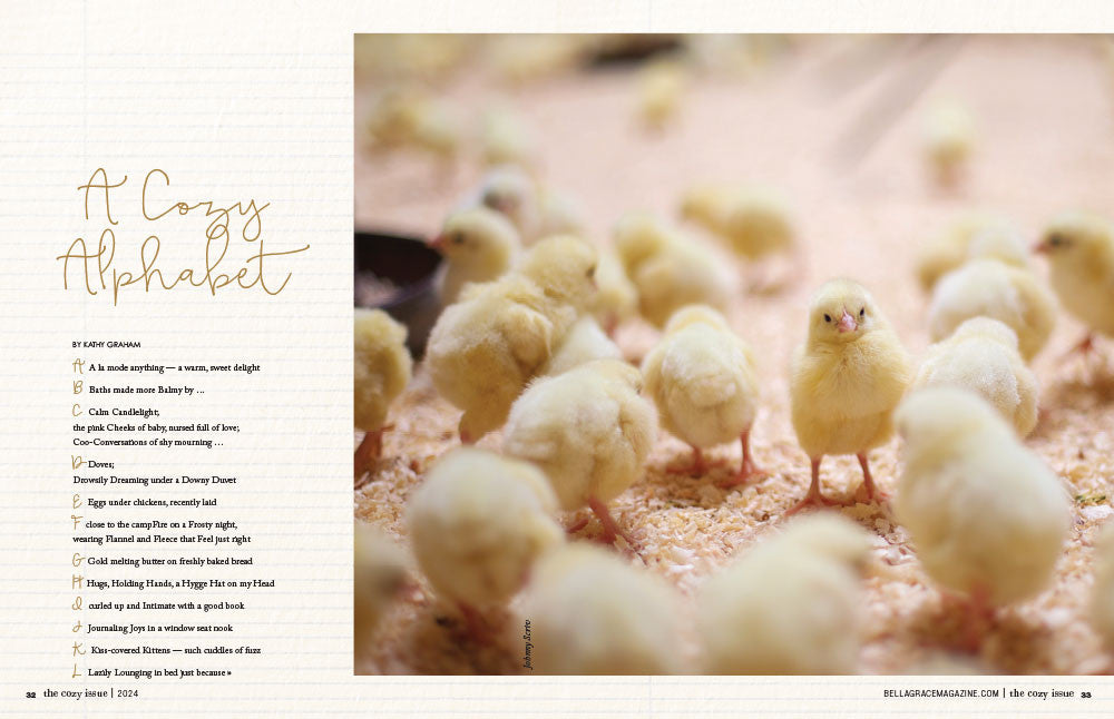 The Cozy Issue Volume 7
