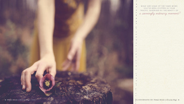 Field Guide to Everyday Magic Issue 2 Instant Download