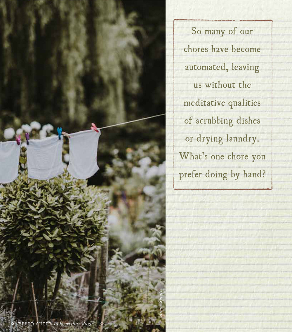 Field Guide to Everyday Magic Issue 6 — Digital Only