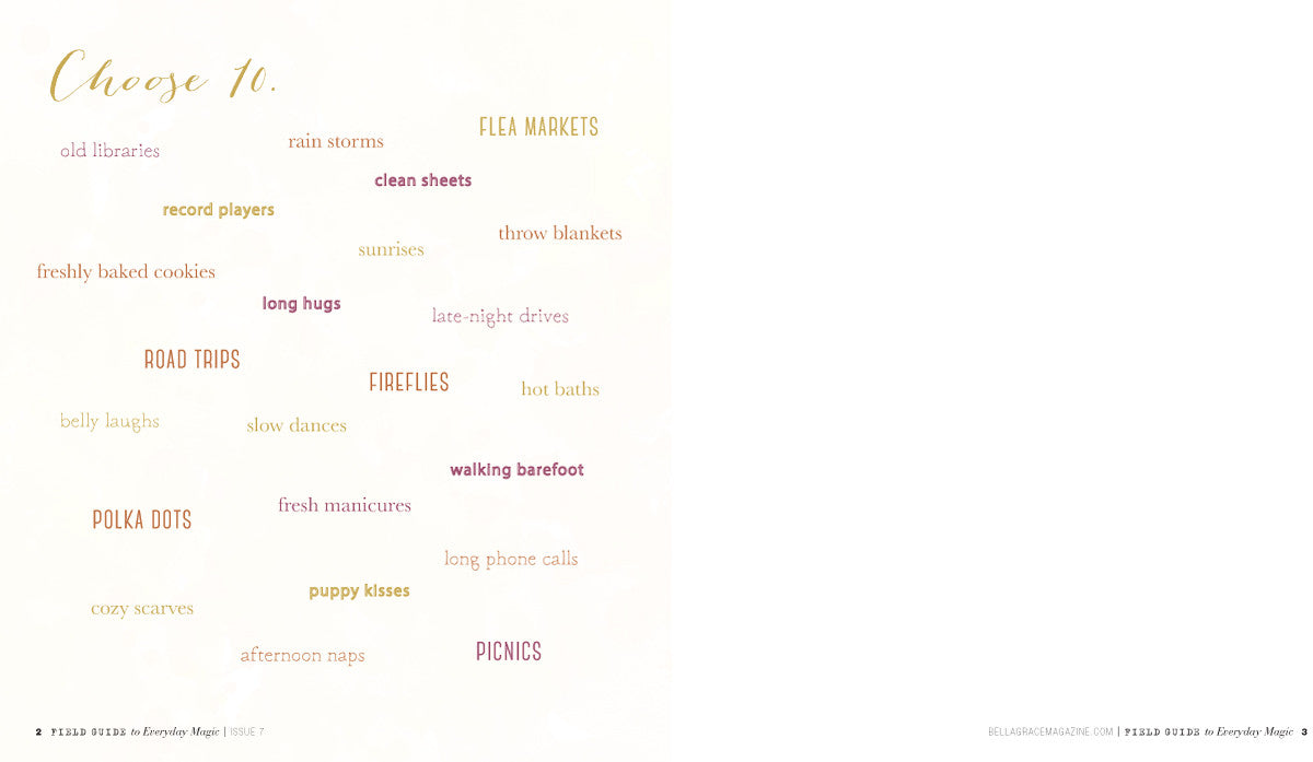 Field Guide to Everyday Magic Issue 7