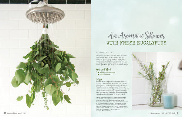 The Natural Home Issue Volume 1 Instant Download