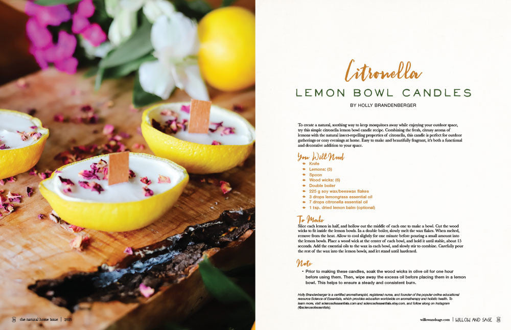 The Natural Home Issue Volume 6 Instant Download