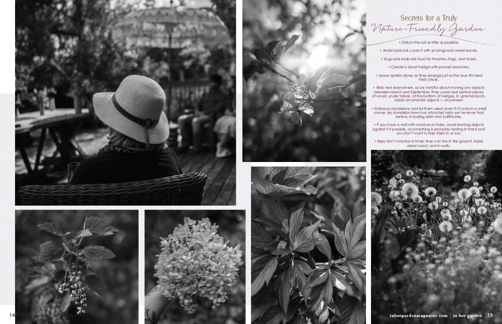 In Her Garden Autumn 2025 – New