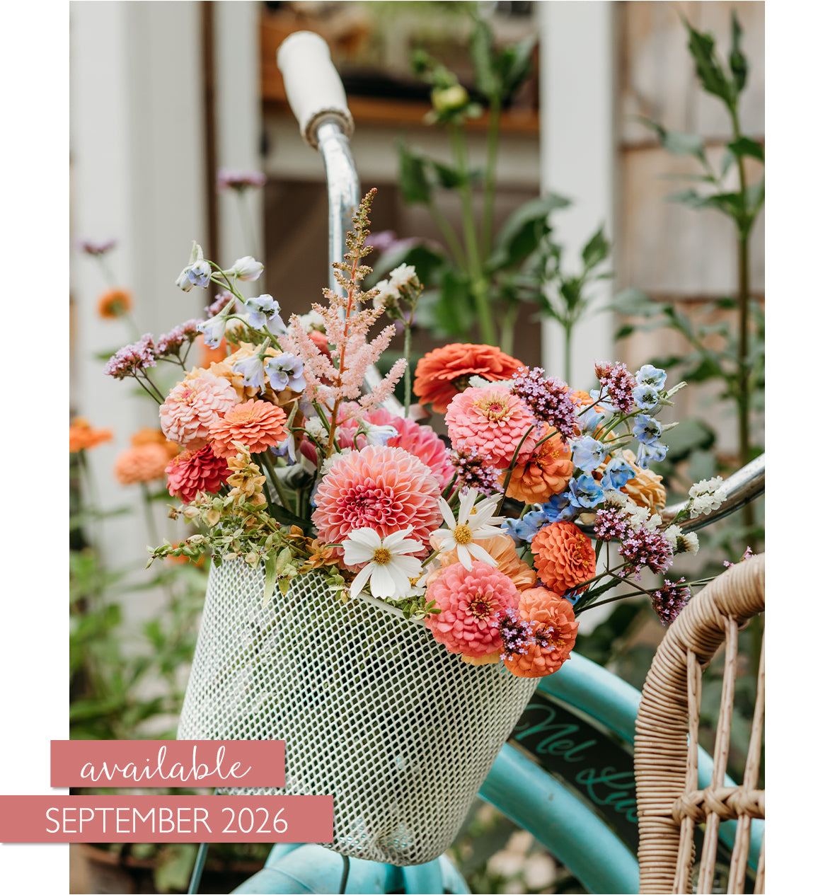 In Her Garden Autumn 2026 Pre-Order