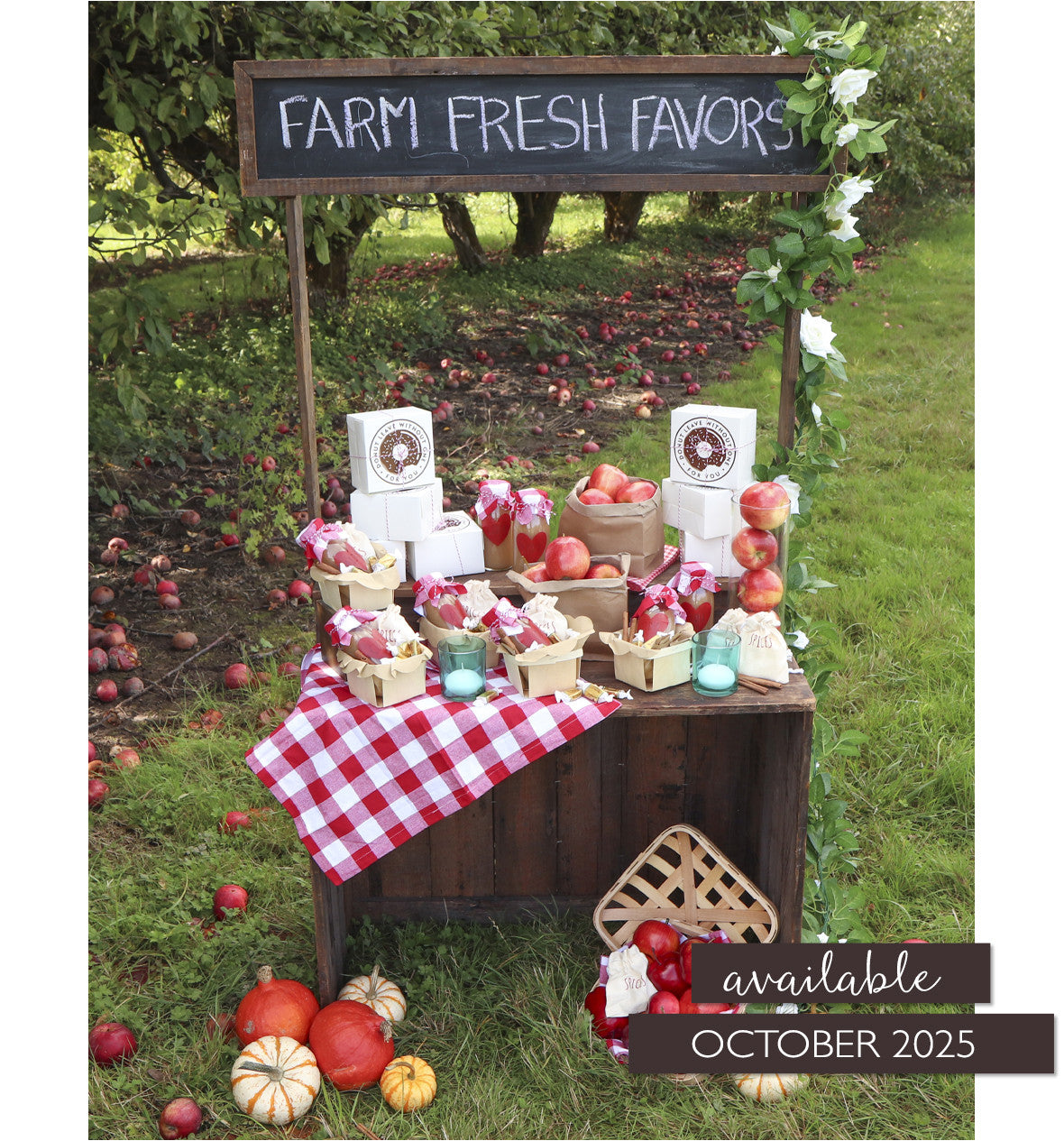 Mingle Autumn 2025 – Coming October 1st
