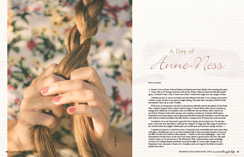 A Romanticized Life Issue 1 Instant Download