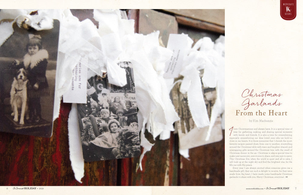 A Somerset Holiday Volume 14 Instant Download