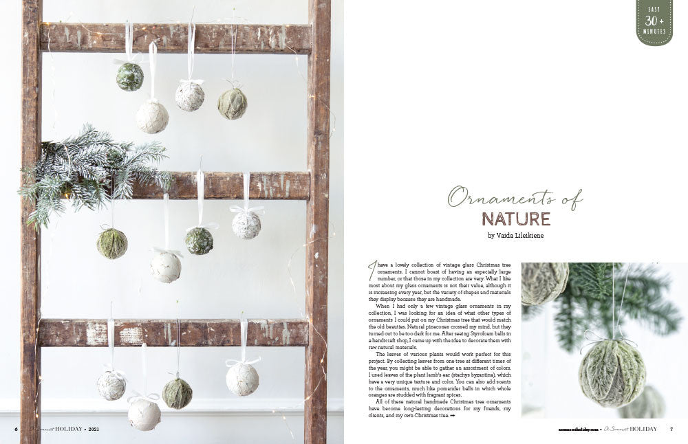 A Somerset Holiday Volume 15 — Digital Only