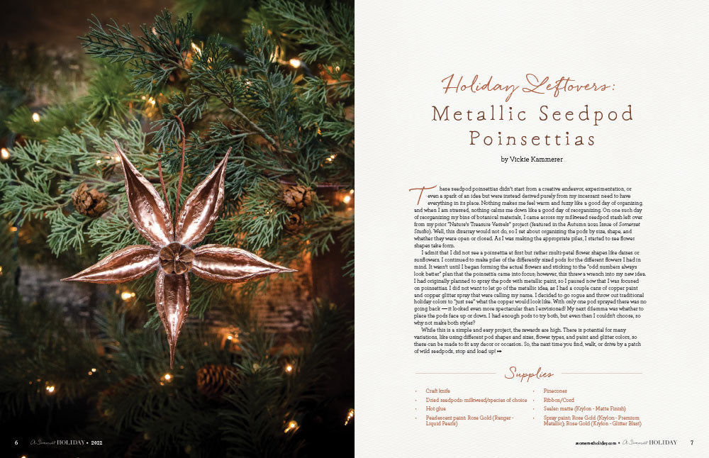 A Somerset Holiday Volume 16