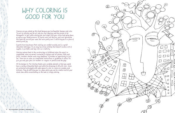 The Coloring Studio Premier Issue Instant Download