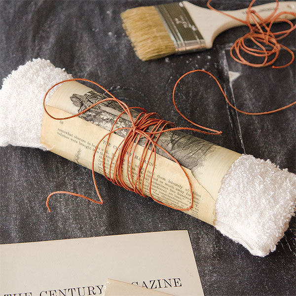 Willow and Sage Volume 1 Instant Download