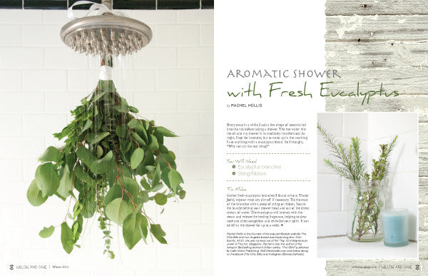 Willow and Sage Winter 2016 — Digital Only