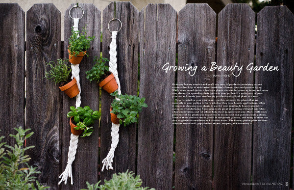 Willow and Sage Spring 2016 — Digital Only