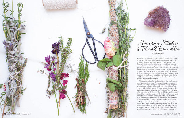 Willow and Sage Summer 2016 — Digital Only