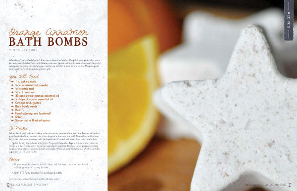 Willow and Sage Winter 2017 — Digital Only