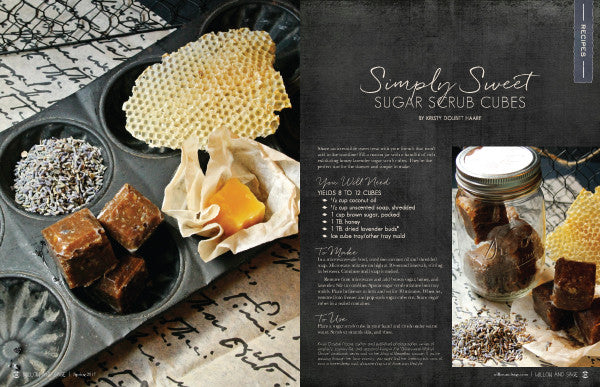 Willow and Sage Spring 2017 — Digital Only