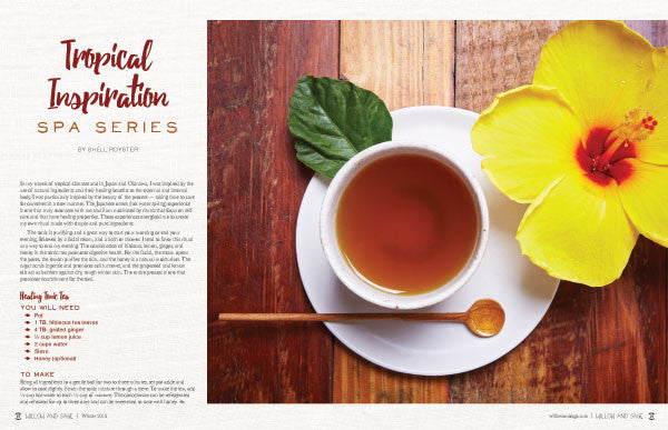 Willow and Sage Winter 2018 — Digital Only
