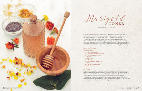 Willow and Sage Winter 2018 — Digital Only