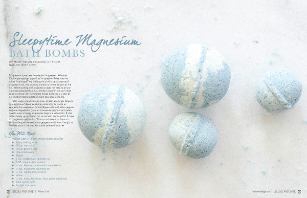 Willow and Sage Winter 2019 Instant Download