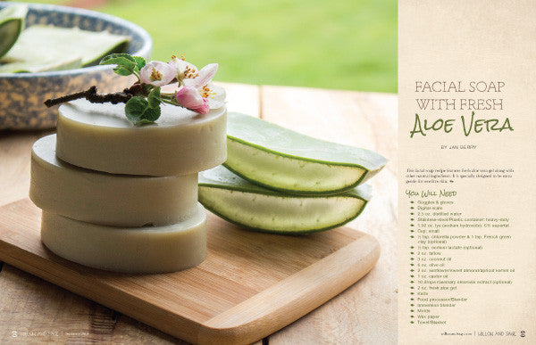 Willow and Sage Summer 2019 Instant Download