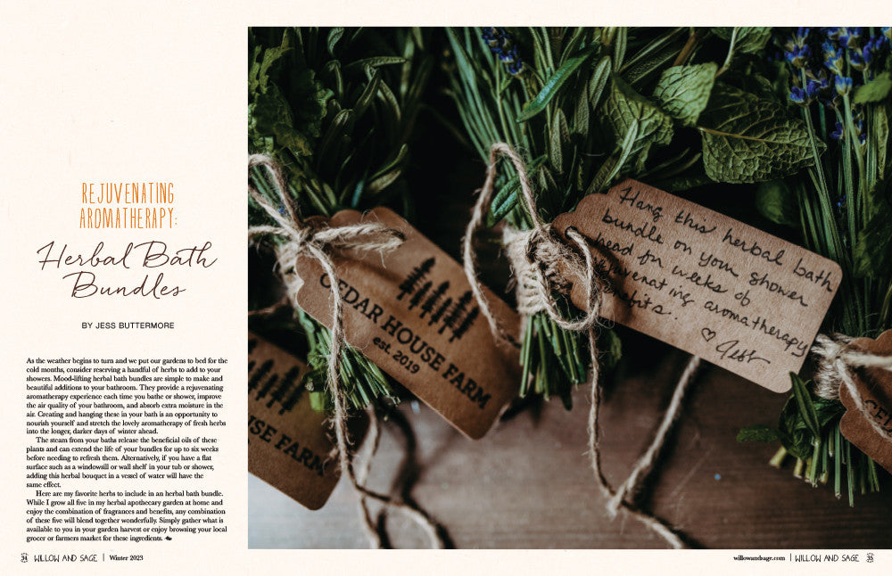 Willow and Sage Winter 2023 Instant Download
