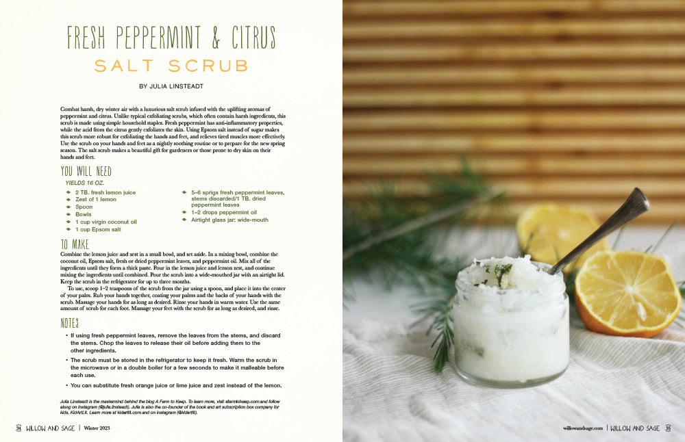 Willow and Sage Winter 2023 Instant Download