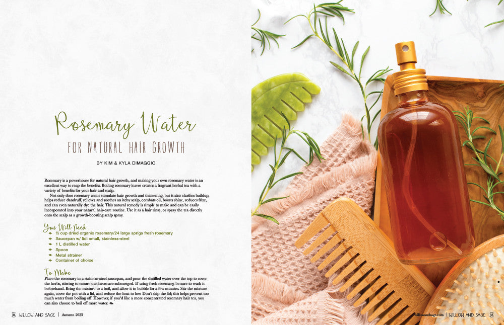 Willow and Sage  Autumn 2023 Instant Download