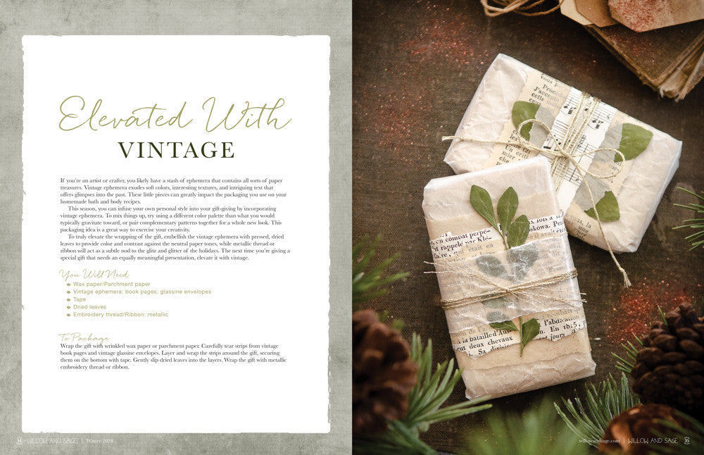 Willow and Sage Winter 2024