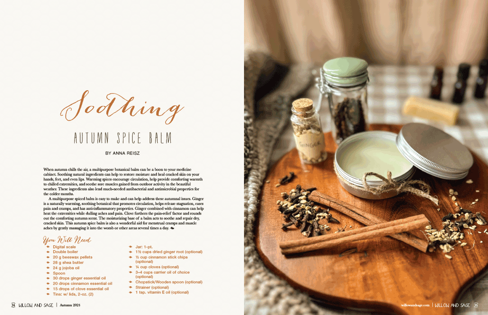 Willow and Sage Autumn 2024 Instant Download
