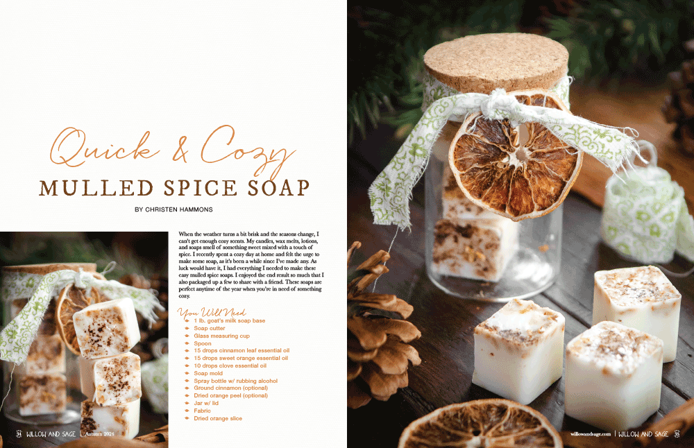Willow and Sage Autumn 2024 Instant Download