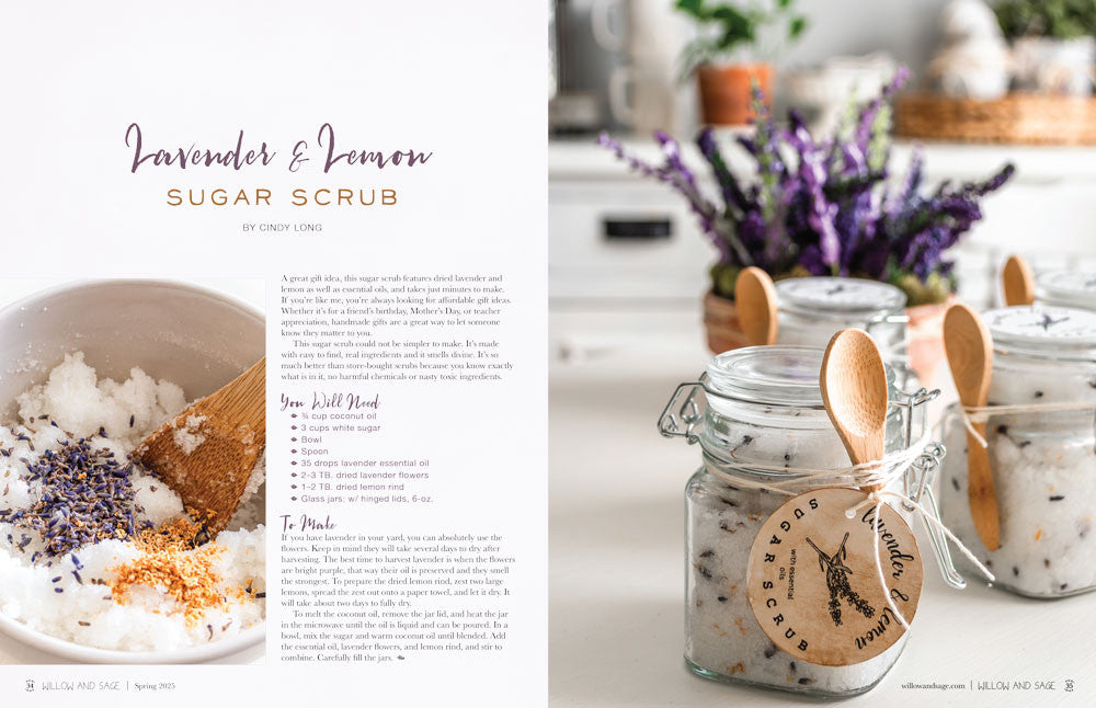 Willow and Sage Spring 2025 Instant Download