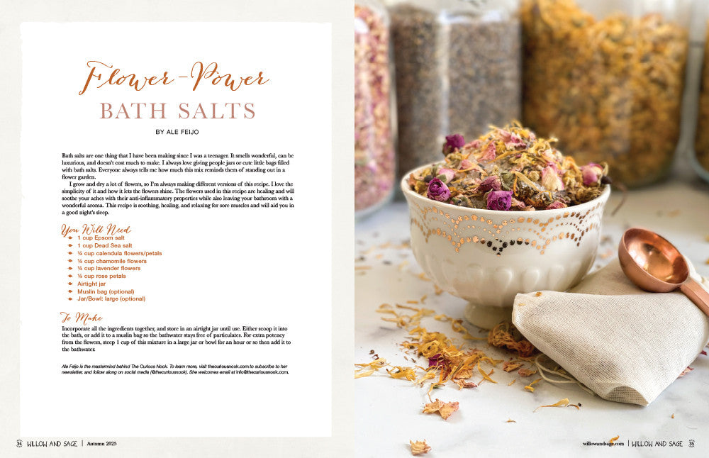 Willow and Sage Autumn 2025 Instant Download